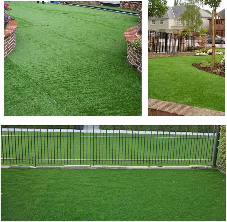 garden lawn